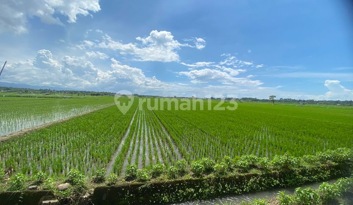 Tanah jual Delod Brawah Negara 5