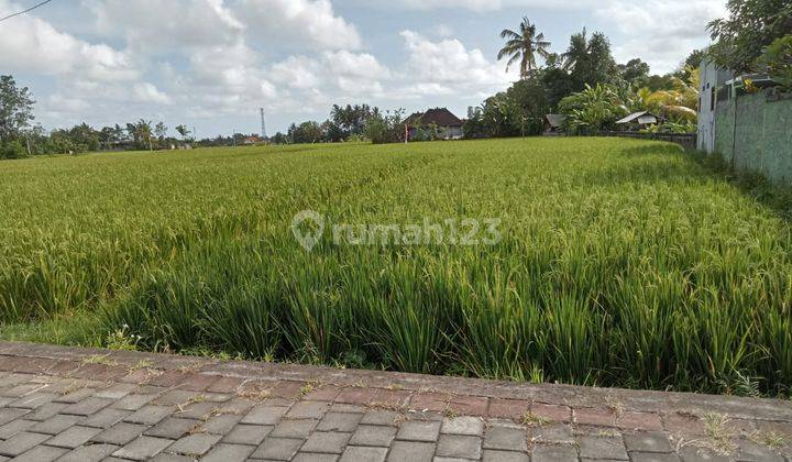 Land for rent near Tanah Lot Beach, Kediri, 1