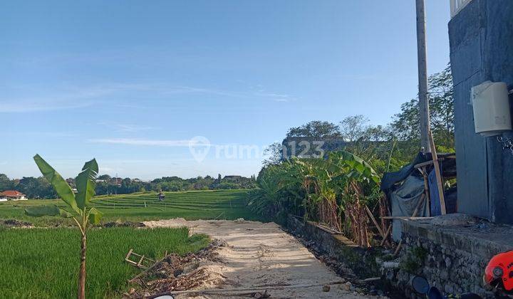 Canggu Badung Bumbak Plot Land 2