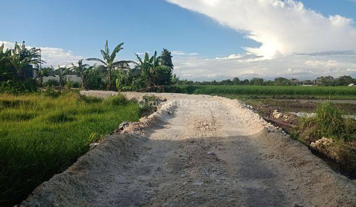 Tanah Kavling murah Kerobokan Badung  1