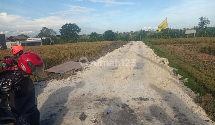 Tanah Kavling murah Kerobokan Badung  2