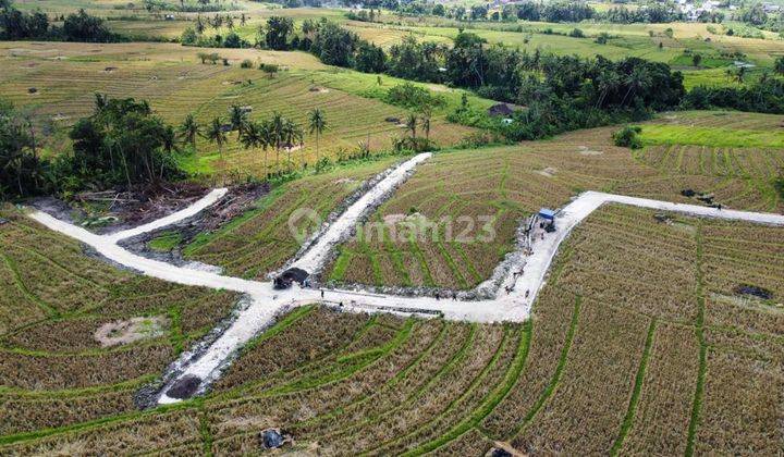 Tanah Kavling Pererenan Canggu Badung 2