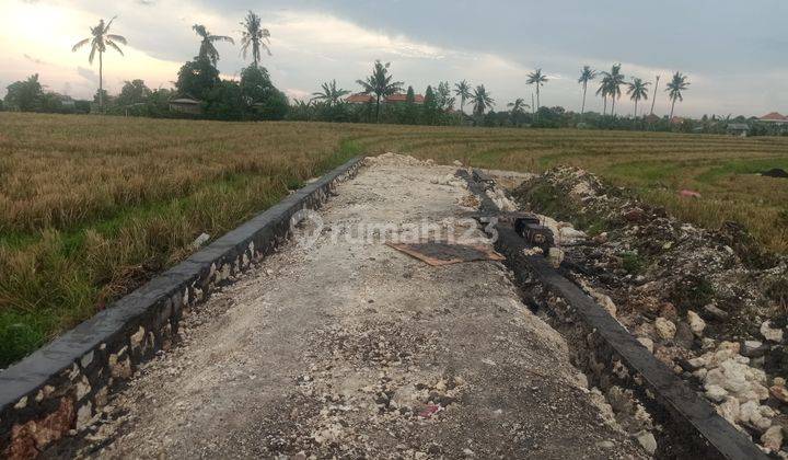 Tanah Kavling Pererenan Canggu Badung 4