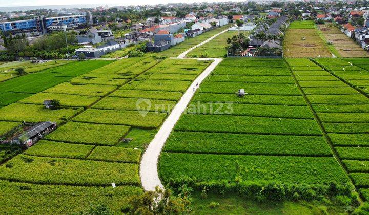 Tanah murah canggu Badung 2