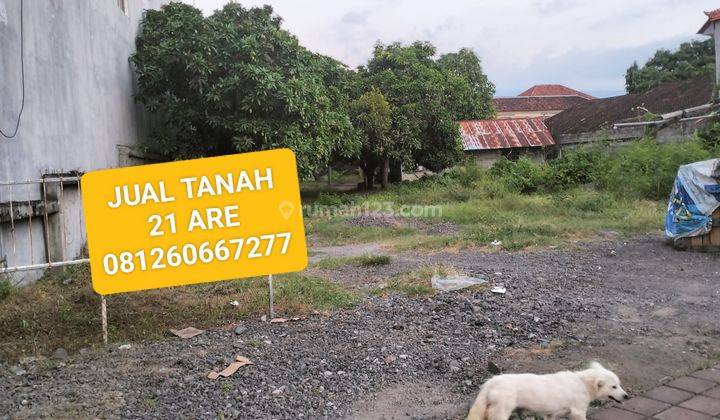 Cheap land of 21 are on the edge of the main road of Ayani Singaraja 1