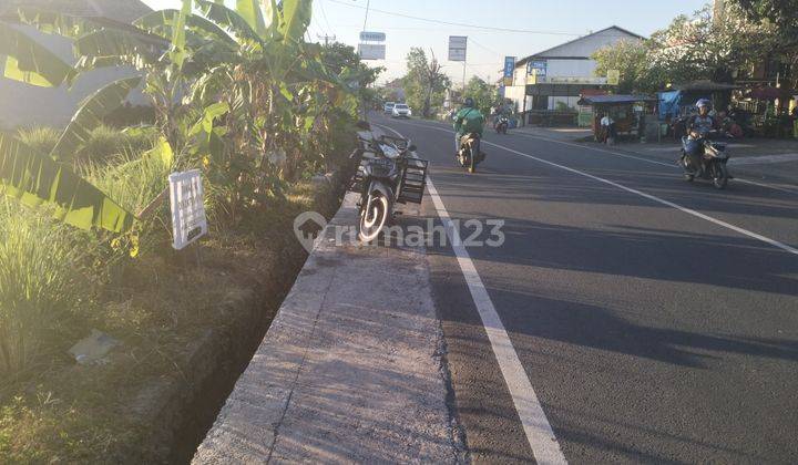 Tanah sewa murah area Renon jalan Sedap Malam 3