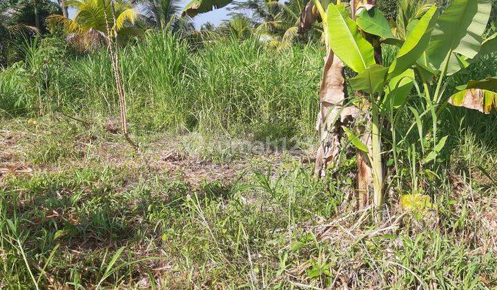 Cheap land in Sembung Mengwi Badung near SMA 1