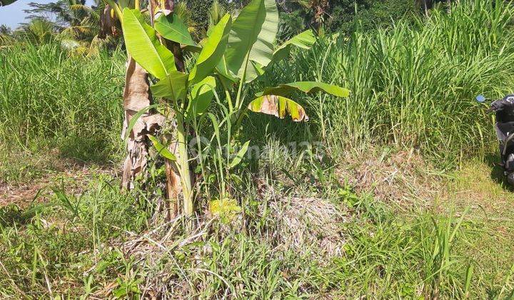 Tanah murah Sembung Mengwi Badung dekat SMA 2