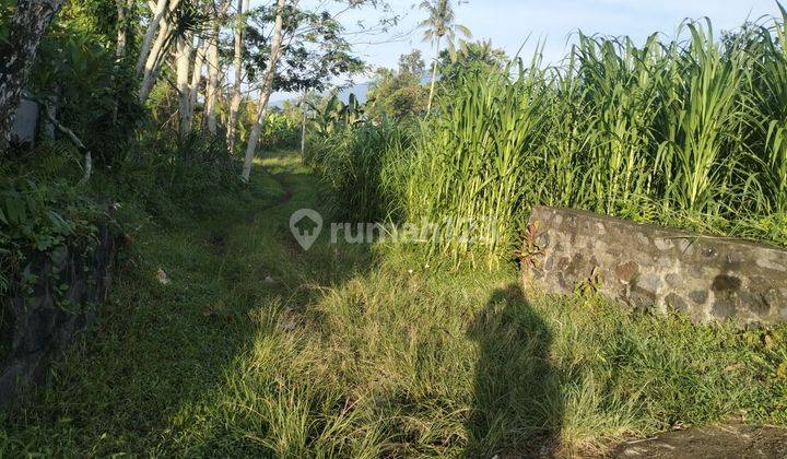 Tanah murah Sekargula Baturiti Tabanan 2