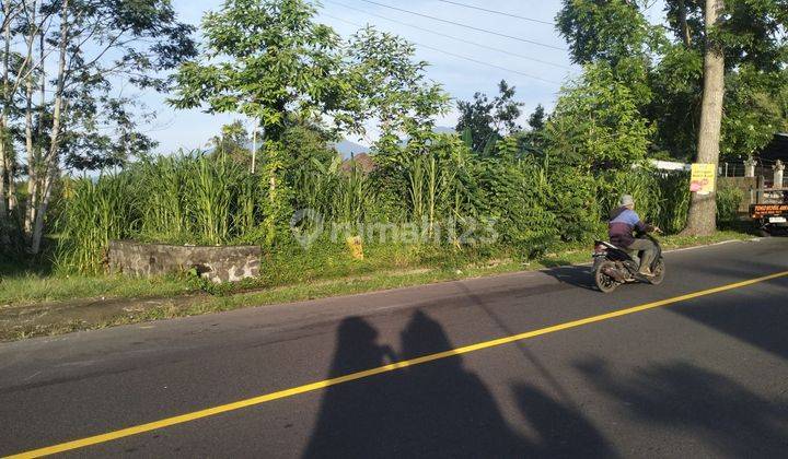 Tanah murah Sekargula Baturiti Tabanan 1