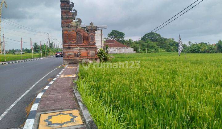 The land is suitable for the Tanah Lot Bali restaurant 2