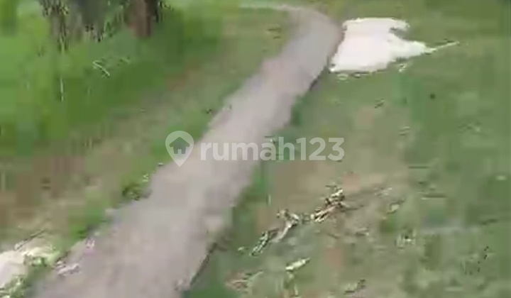 Cheap Land in East Selemadeg, Tabanan