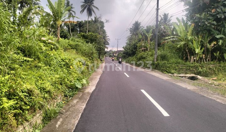 For sale 1000 M2 of land in Jegu Penebel Village, Tabanan