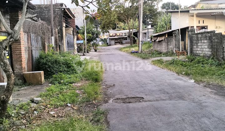 Anah Murah Buc Banget Kediri Tabanan