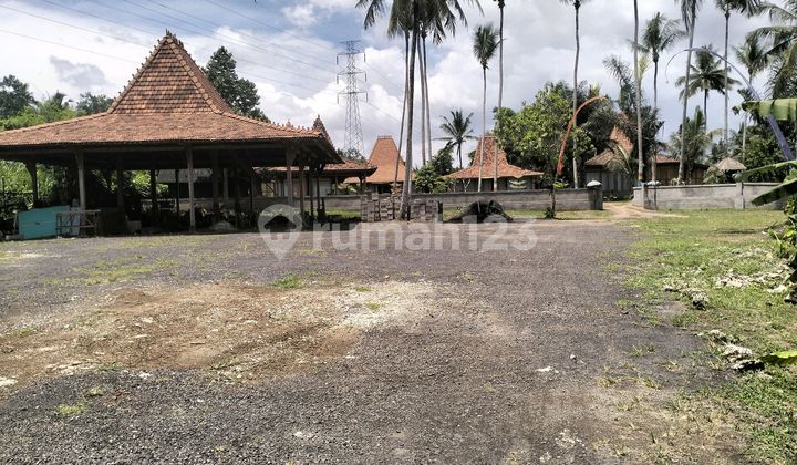 Villa Murah Badung Bali Luas 3800m2