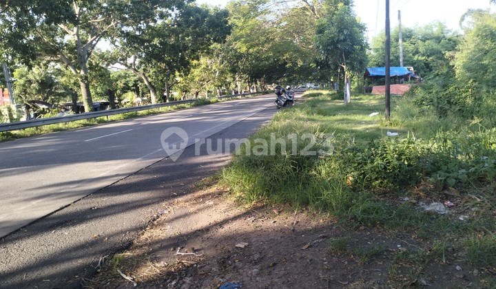 Cheap Land 6650m2 Bypass Ida Bagus Mantra