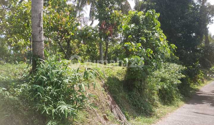 Tanah Murah 1800m2 Timpag Tabanan 1