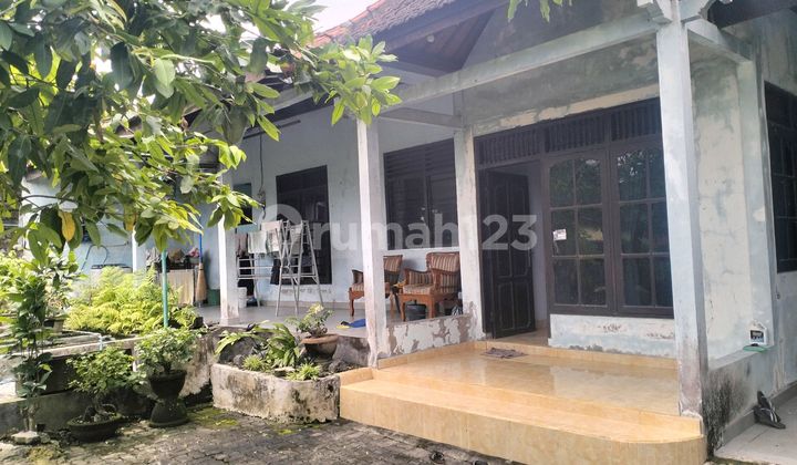 Affordable House Premium Location Renon Denpasar 2