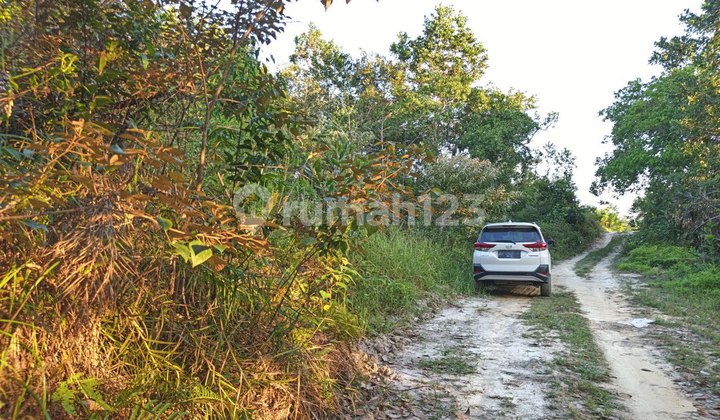 Land for Sale Near ICM Boloevard Kendari Islamic Boarding School, Negotiable Land for Sale Near ICM Boloevard Kendari Islamic Boarding School, Negotiable