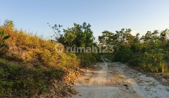 Land for Sale Near ICM Boloevard Kendari Islamic Boarding School, Negotiable Land for Sale Near ICM Boloevard Kendari Islamic Boarding School, Negotiable