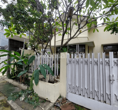 Rumah Terawat Di Kebayoran Baru 1