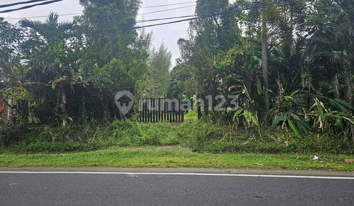 Garden Land on Main Street, Pupuan Tabanan Garden Land on Main Street, Pupuan Tabanan