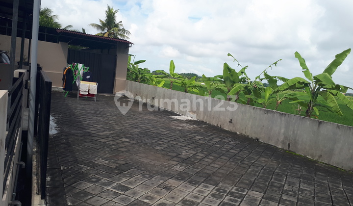 Rumah minimalis dengan pemandangan sawah 4