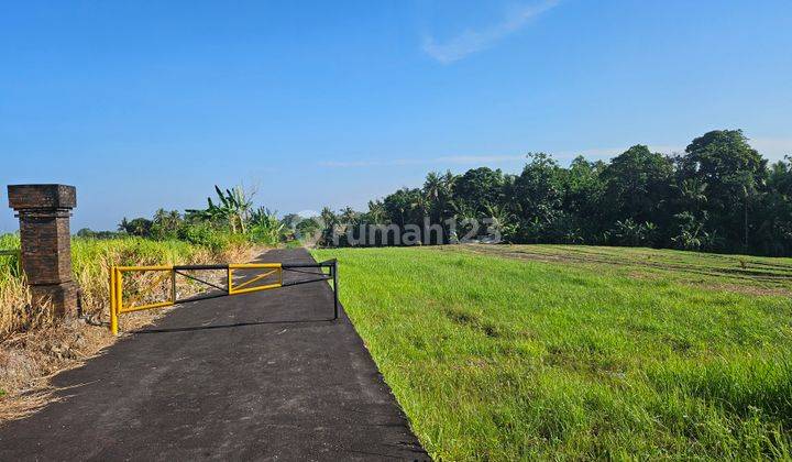 Tanah Komersial Dekat Pantai Tanah Lot 1