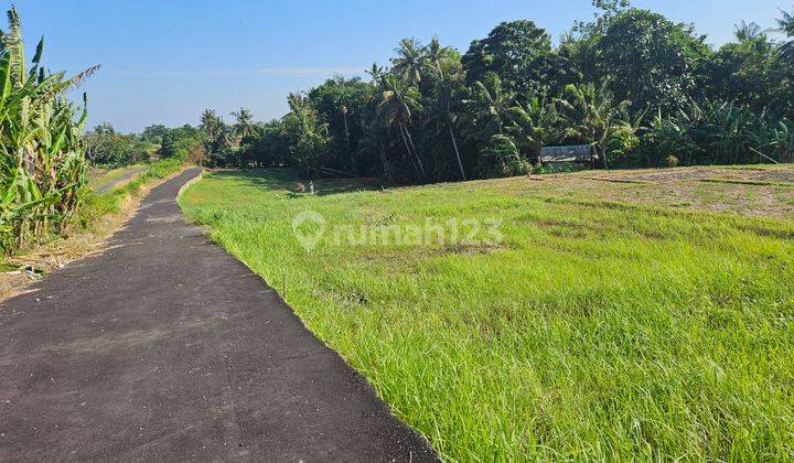 Tanah Komersial Dekat Pantai Tanah Lot 2