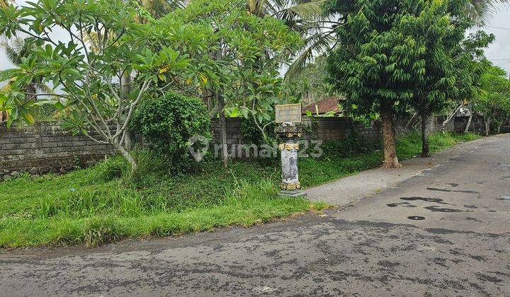 Tanah datar siap bangun dekat pantai di Tabanan 2