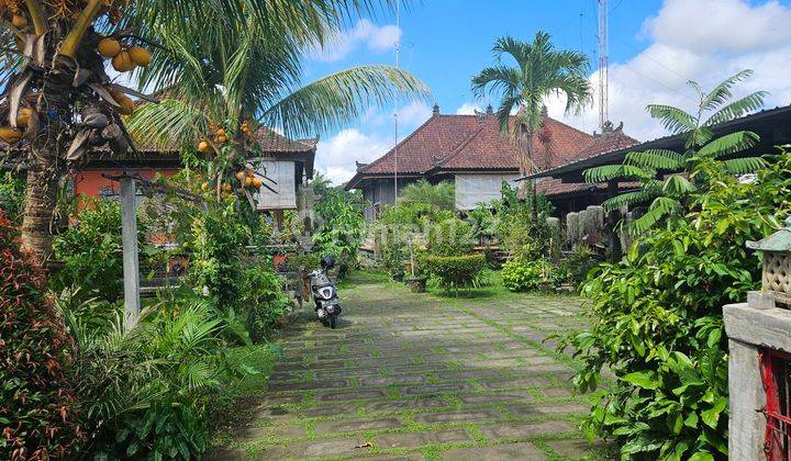 Balinese style house with a large garden in the atmosphere of Tabanan