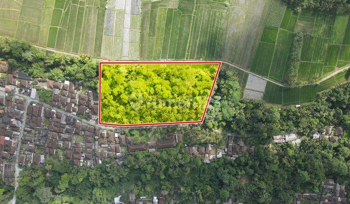 Cheap, flat land ready to build in Tabanan 1