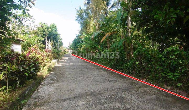 Cheap, flat land ready to build in Tabanan 2