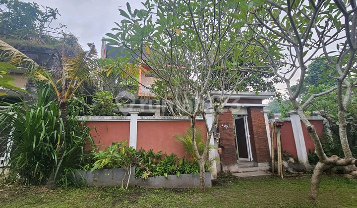 Villa for Sale Near Canggu with Rice Field View Villa for Sale Near Canggu with Rice Field View