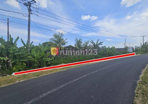 Land for lease at Kaba-Kaba, Kediri, Tabanan, strategic location, close to Munggu area 1