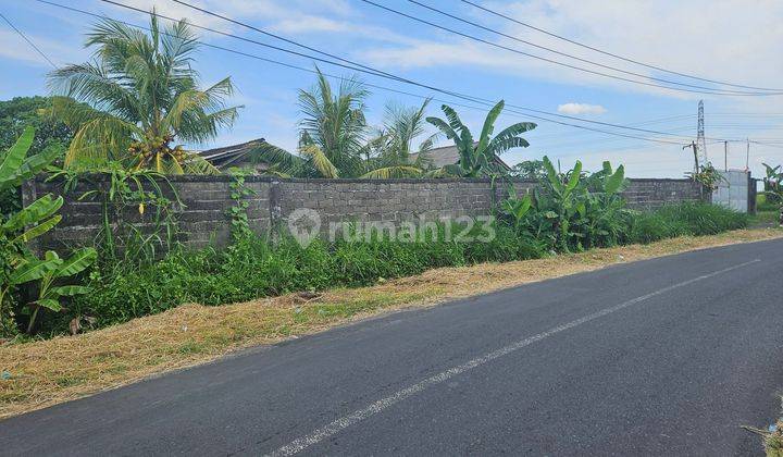 Rice Field View Land Ready To Be Built Near Munggu 1