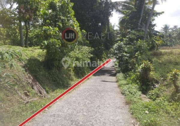 Land for sale at Kerambitan, Tabanan, strategic location, suitable for investment 1