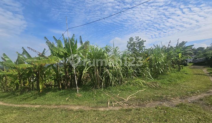 Cheap Land for Rent in Megati Selemadeg Near the Beach Cheap Land for Rent in Megati Selemadeg Near the Beach