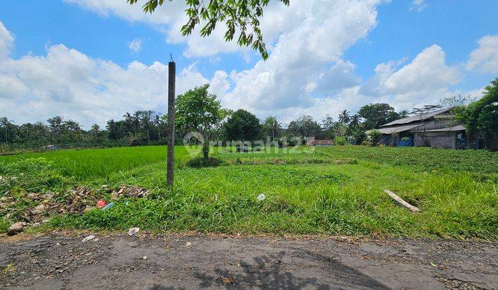 Tanah Sawah Produktif Marga Tabanan 1