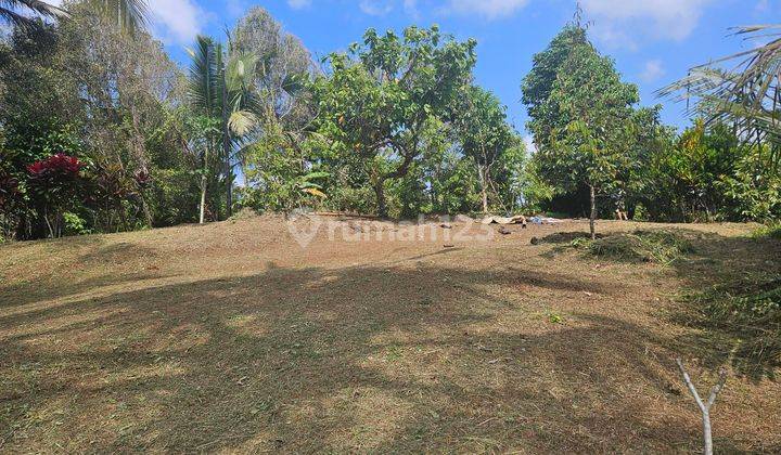 Flat Land Ready to Build Pupuan Tabanan 2