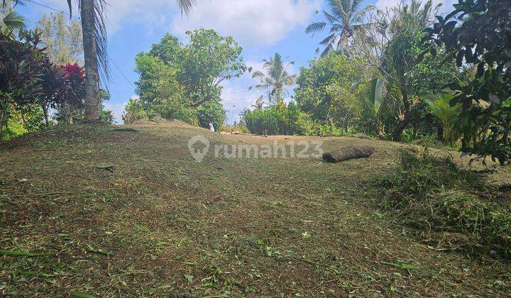 Flat Land Ready to Build Pupuan Tabanan 1