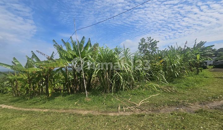 Land for Rent Near the Beach with Rice Field View in Selemadeg, Tabanan
