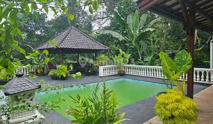 Villa Vintage Yang Teduh Tenang Di Tabanan 2