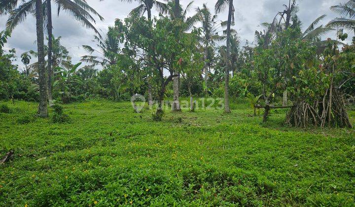 Tanah Siap Di Bangun Lingkungan Nyaman Di Tabanan 1