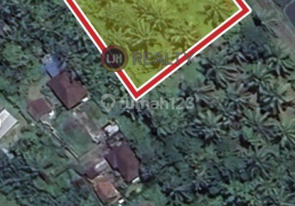 Land for sale at Kerambitan, Tabanan, strategic location, suitable for investment 2