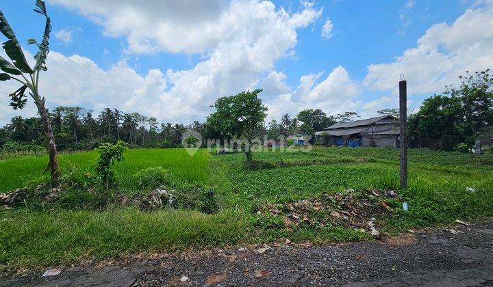 Tanah Sawah Produktif Marga Tabanan 2