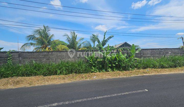 Rice Field View Land Ready To Be Built Near Munggu 2