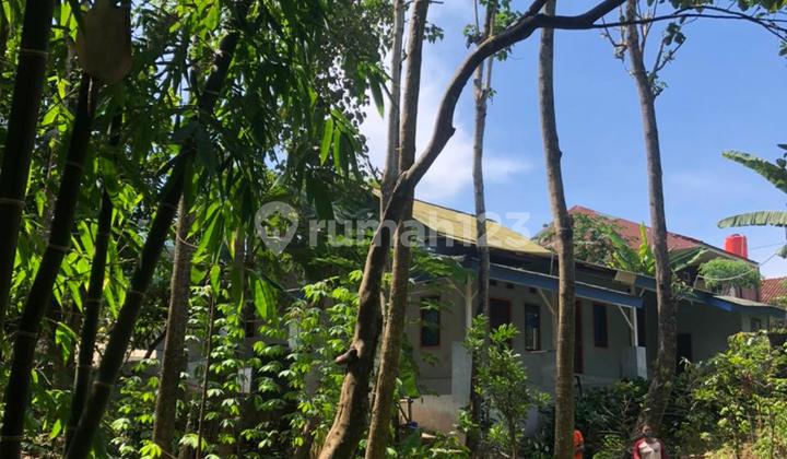 For Sale: Jatinangor, Bandung Garden House with Freehold Title 2