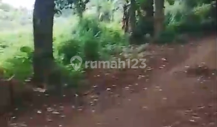 Dijual Murah Tanah 5000 Meter Cocok untuk Perumahan dan Gudang Strategis Pinggir Jalan Raya di Rempoa Tangerang Selatan Dijual Murah Tanah 5000 Meter Cocok untuk Perumahan dan Gudang Strategis Pinggir Jalan Raya di Rempoa Tangerang Selatan