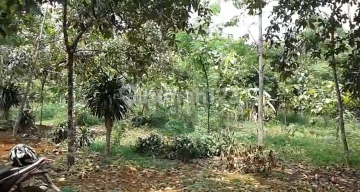 Dijual Tanah Darat Strategis Luas 1500 Meter Bonus Rumah Bebas Banjir Dekat Akses Tol dan Kreta KRL di Waru Parung Bogor